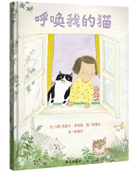 如何选择适合篮球康复训练的器材_1